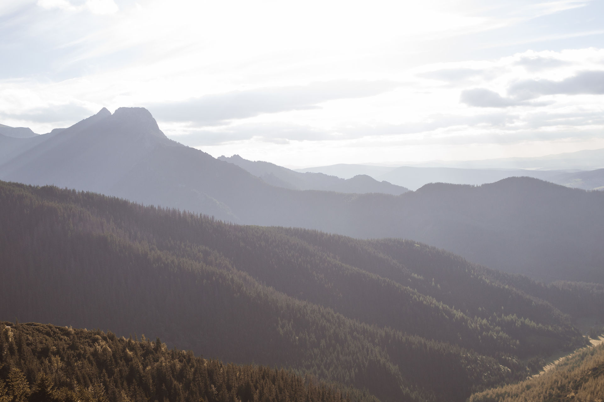 Tatry